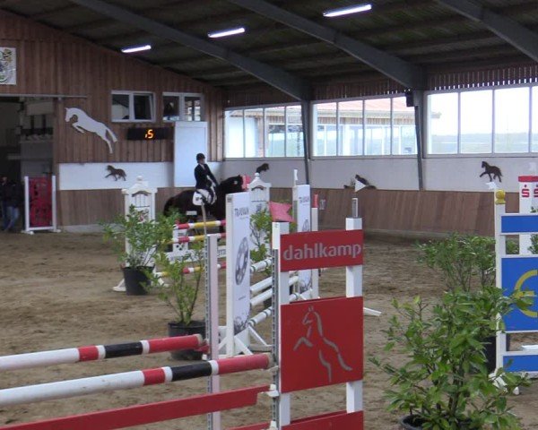Reitturnier Werne 2025