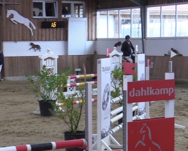 Reitturnier Werne 2025