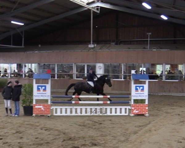 Reitturnier Werne 2025