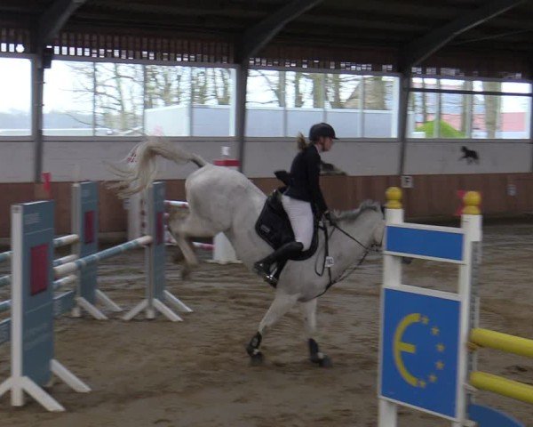 Reitturnier Werne 2025