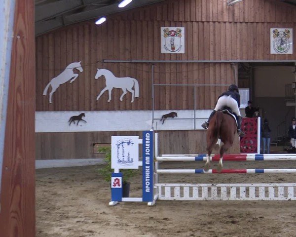 Reitturnier Werne 2025