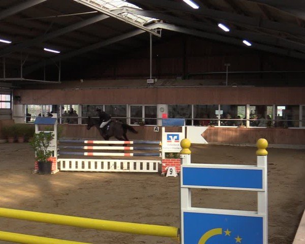 Reitturnier Werne 2025