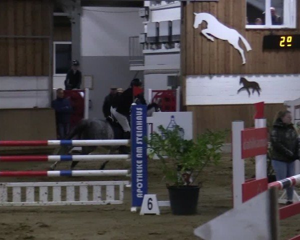 Reitturnier Werne 2025