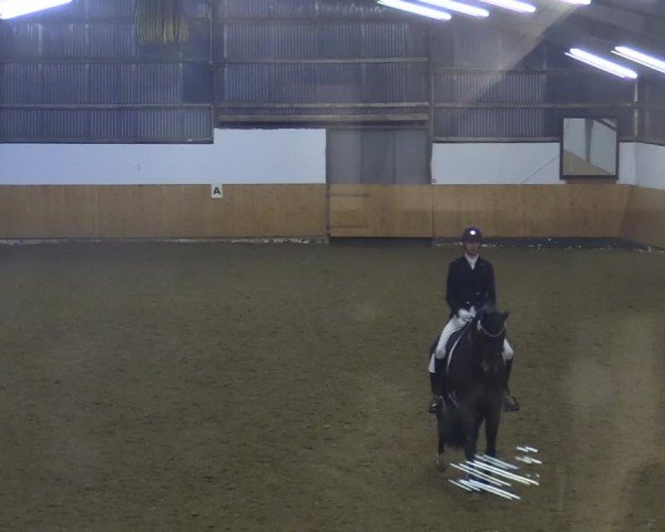 Reitturnier Datteln 2025