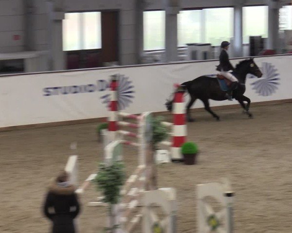 Reitturnier Prussendorf 2025
