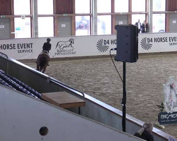 Reitturnier Prussendorf 2025