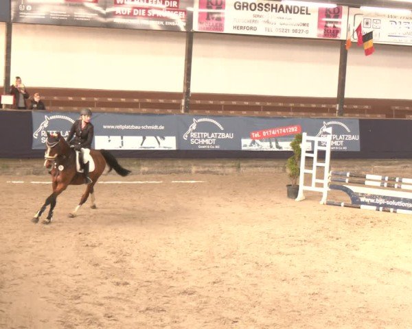 Reitturnier Exter 2025