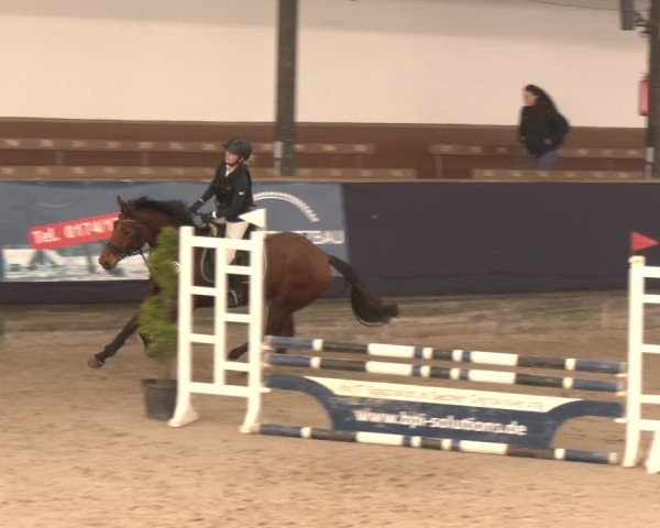 Reitturnier Exter 2025