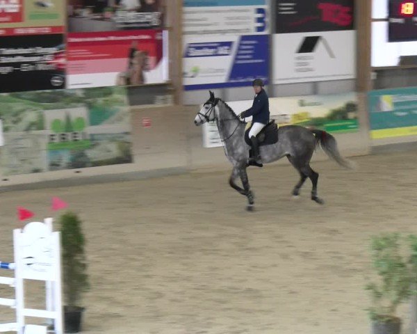Reitturnier Schaffhausen 2025