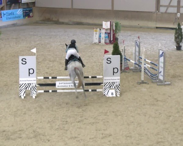 Reitturnier Schaffhausen 2025