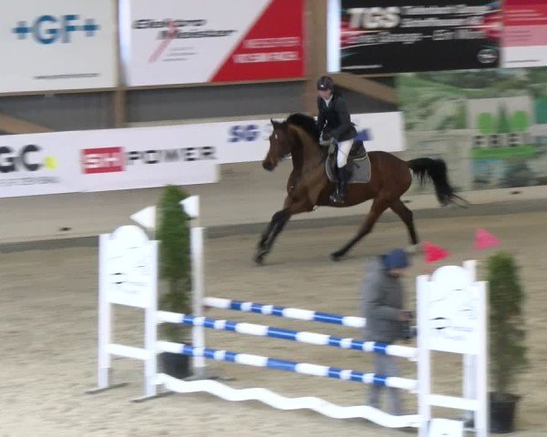 Reitturnier Schaffhausen 2025