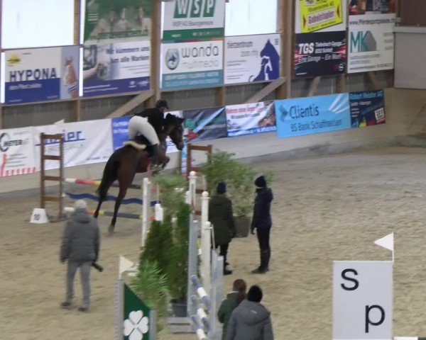 Reitturnier Schaffhausen 2025