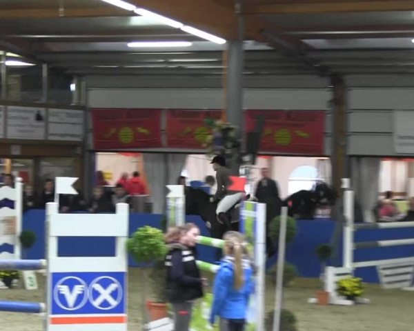 6. Isterberger Euregio-Hallen Springturnier vom 10.-13.10.2013