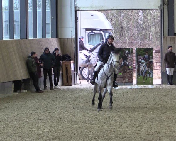 Reitturnier Zwickau 2025
