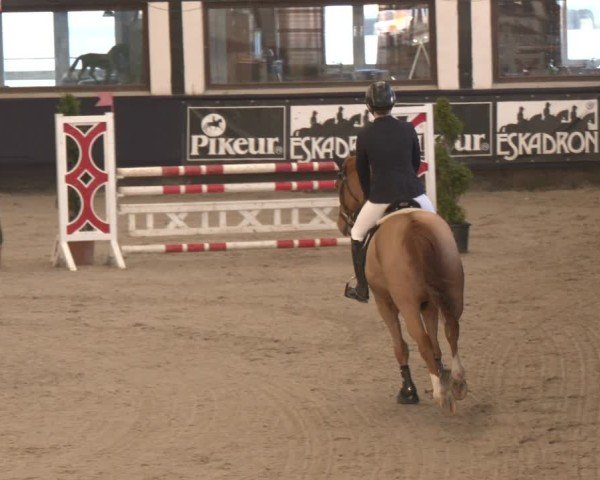 Reitturnier Exter 2025