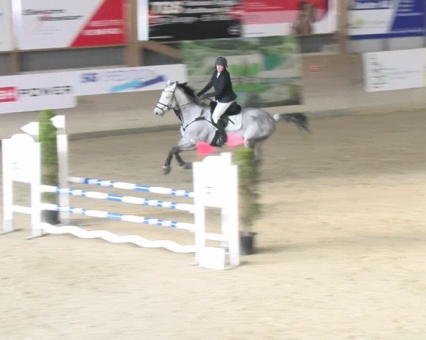 Reitturnier Schaffhausen 2025