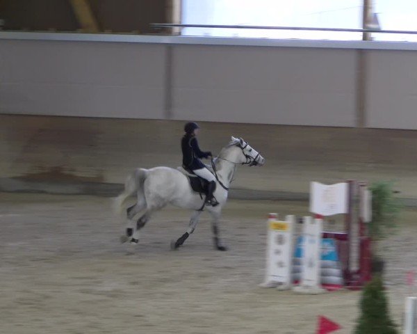 Reitturnier Schaffhausen 2025