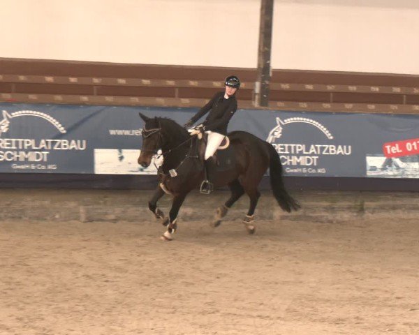 Reitturnier Exter 2025
