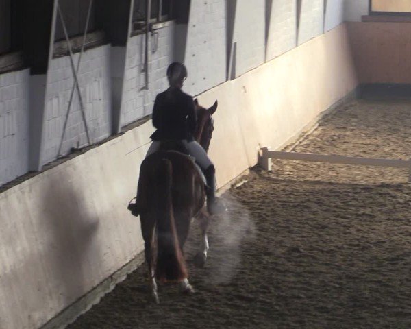 Reitturnier Datteln 2025