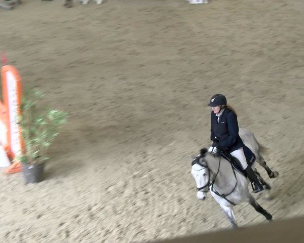 Reitturnier Schaffhausen 2025
