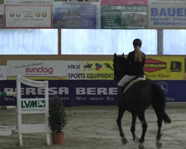 Reitturnier Isterberg 2013