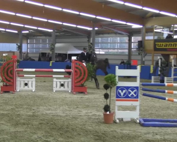 6. Isterberger Euregio-Hallen Springturnier vom 10.-13.10.2013