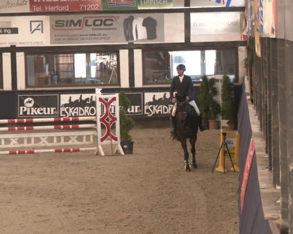 Reitturnier Exter 2025