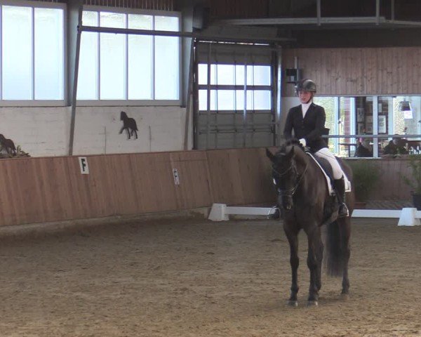 Reitturnier Werne 2025