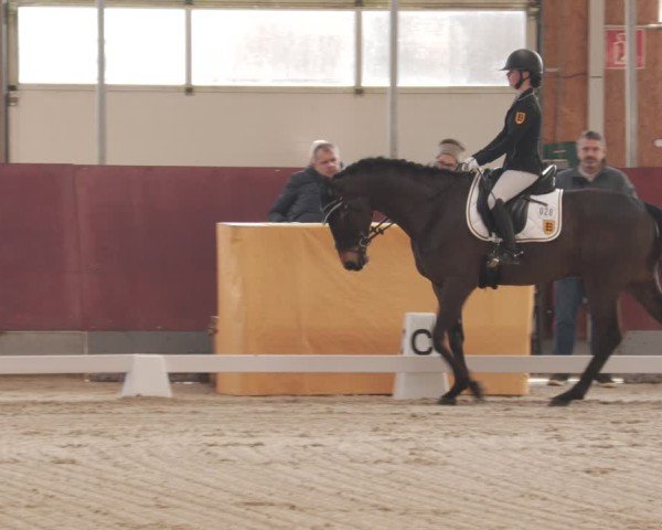 Reitturnier Balingen 2025