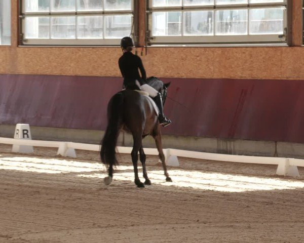 Reitturnier Balingen 2025