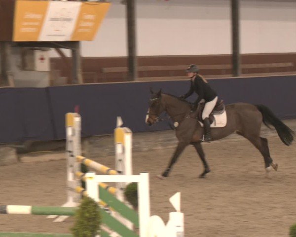 Reitturnier Exter 2025