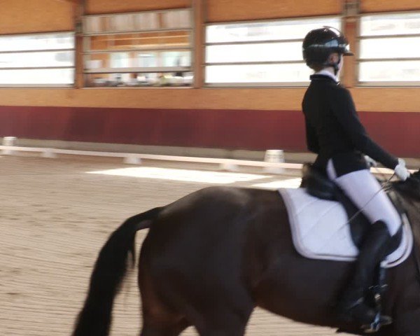 Reitturnier Balingen 2025