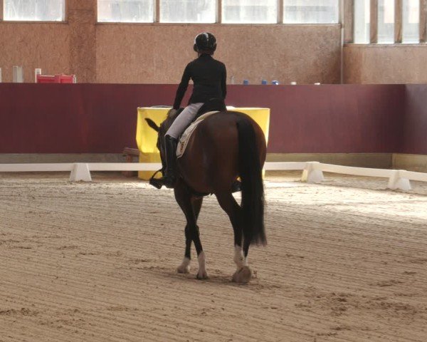 Reitturnier Balingen 2025