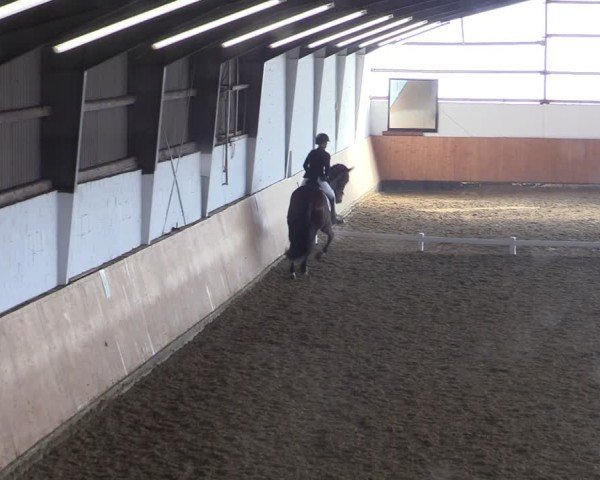 Reitturnier Datteln 2025