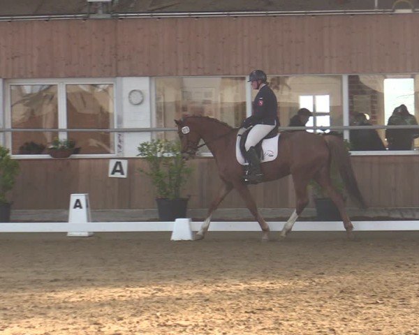 Reitturnier Werne 2025