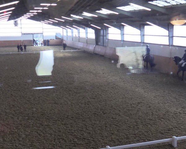 Reitturnier Datteln 2025