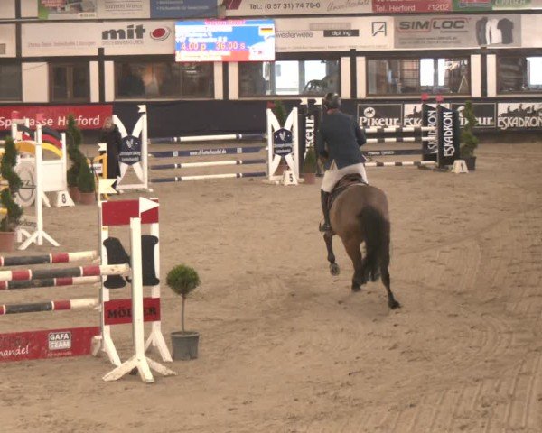Reitturnier Exter 2025