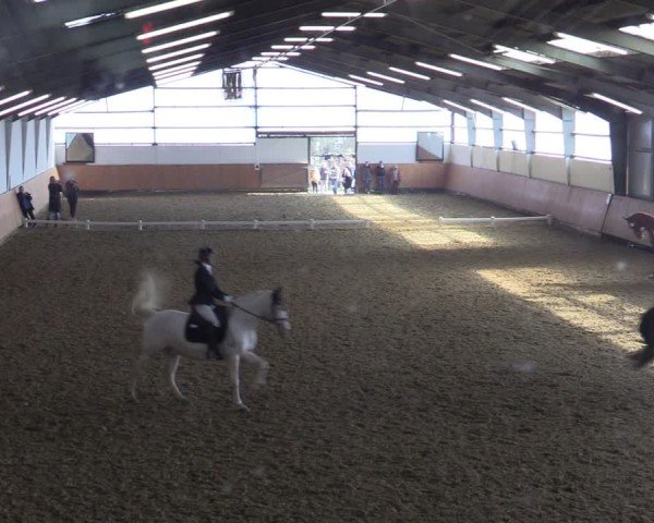 Reitturnier Datteln 2025