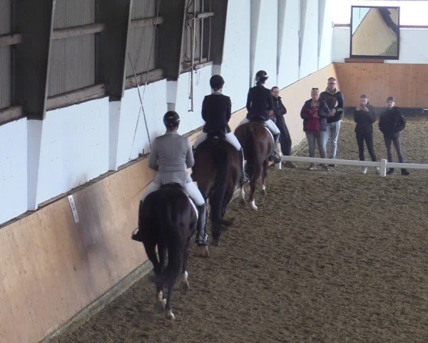Reitturnier Datteln 2025