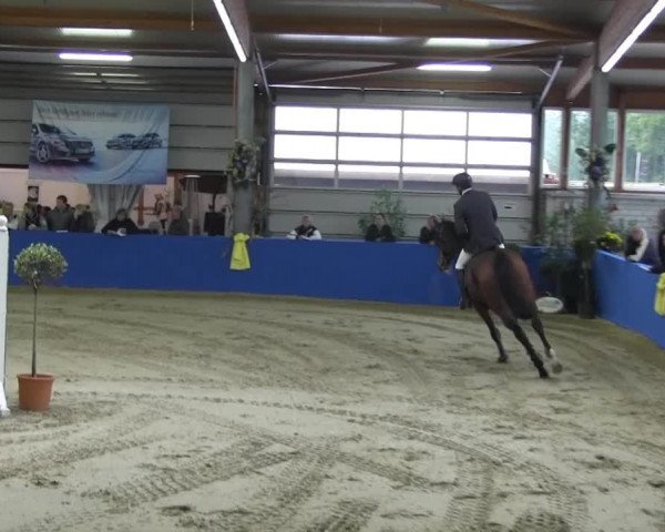 6. Isterberger Euregio-Hallen Springturnier vom 10.-13.10.2013