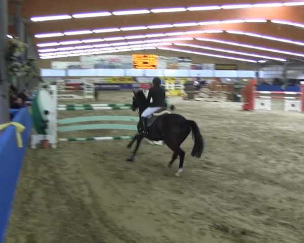 Reitturnier Isterberg 2013