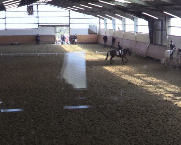 Reitturnier Datteln 2025