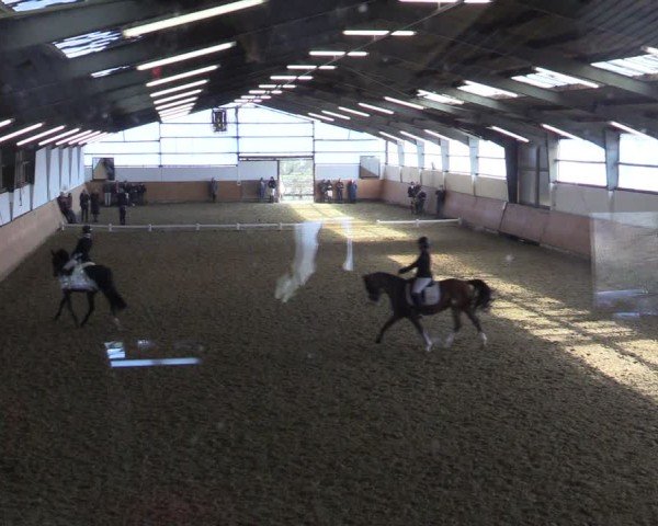 Reitturnier Datteln 2025