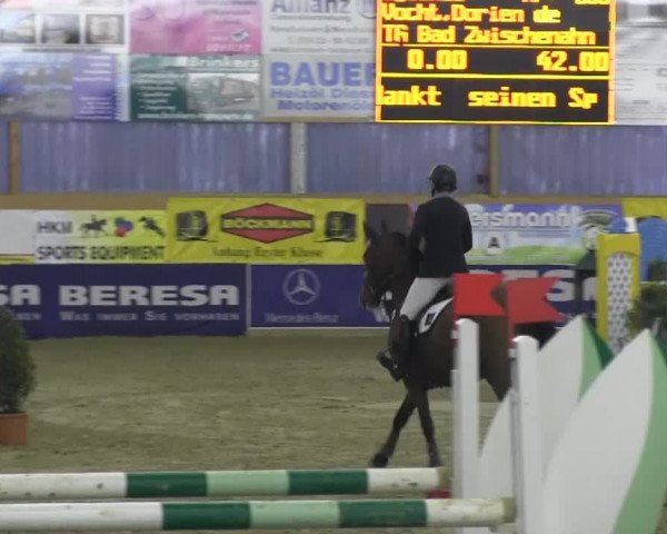 Reitturnier Isterberg 2013