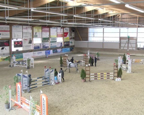 Reitturnier Schaffhausen 2025