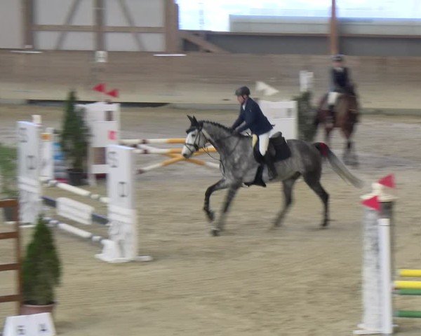 Reitturnier Schaffhausen 2025