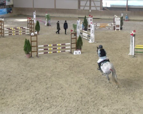 Reitturnier Schaffhausen 2025