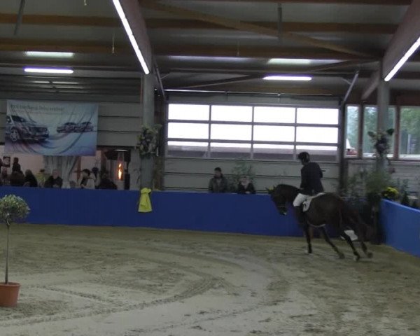6. Isterberger Euregio-Hallen Springturnier vom 10.-13.10.2013
