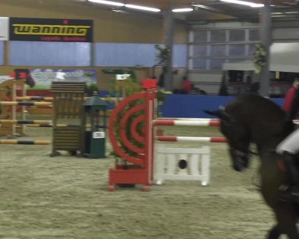 Reitturnier Isterberg 2013