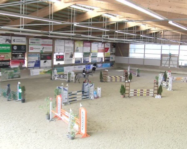 Reitturnier Schaffhausen 2025